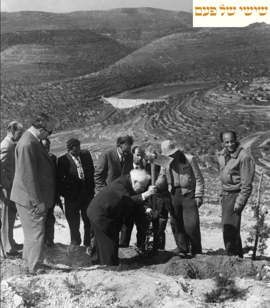 David Ben-Gurion plants a cedar tree in the Jerusalem Forest, 1958.